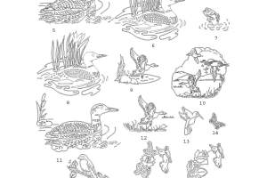 All-Designs-2-25-18-a_Page_03