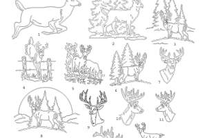 All-Designs-2-25-18-a_Page_13