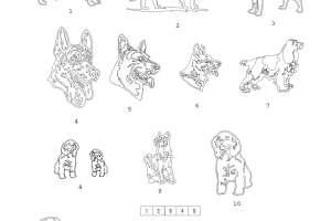 All-Designs-2-25-18-a_Page_15