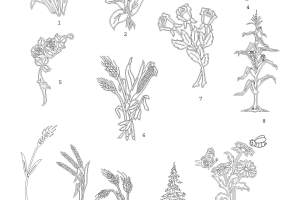All-Designs-2-25-18-a_Page_20