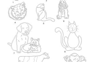 Combined-files-1-15-23_Page_022