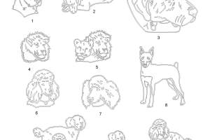 Combined-files-1-15-23_Page_071