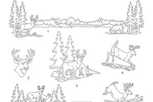 Combined-files-1-15-23_Page_096