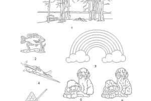 M-2-to-25_Page_07
