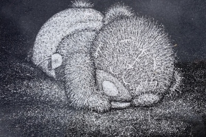 Sleeping-Teddy-Bear