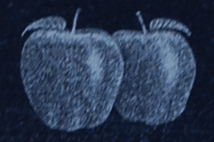 apple-copy