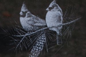 cardinals