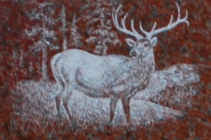 elk