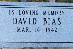 Bias