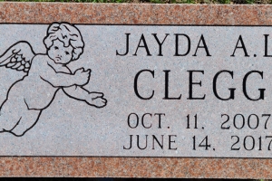 Clegg