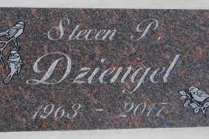 Dziengel-Steven