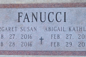Fanucci-1