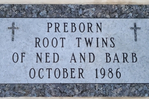 Root-Twins