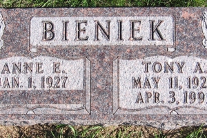 bieniek-Tony