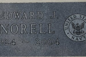 norell1
