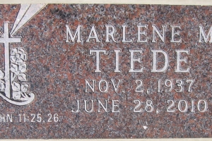 tiede