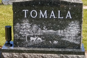 Tomala-Back
