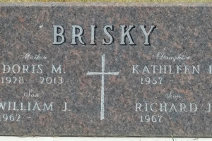 Brisky-1